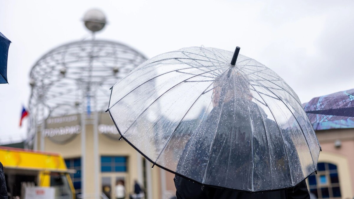    Фото: Федор Воронов/«Ямал-Медиа»