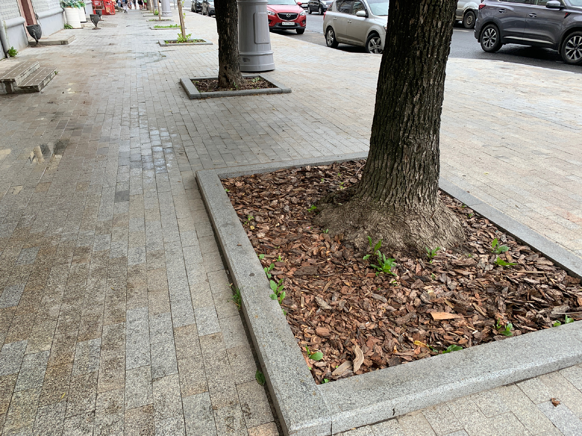 ТВЕРЬ       ТВЕРСКОЙ ПРОСПЕКТ