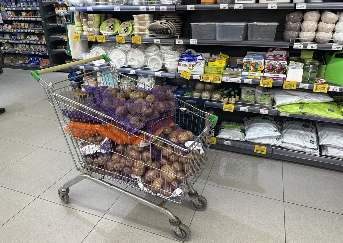 Фото © «Московская газета»