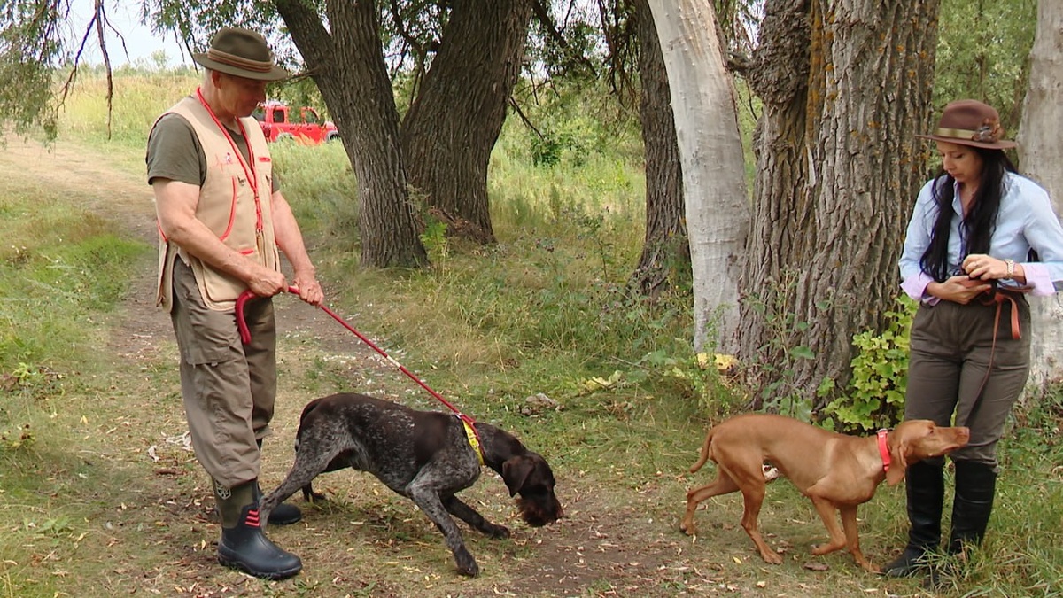 Александр и Граф