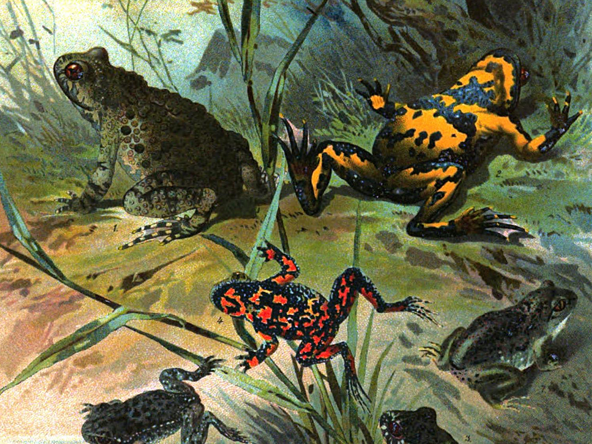 Christian Votteler, общественное достояние, 1897 год.