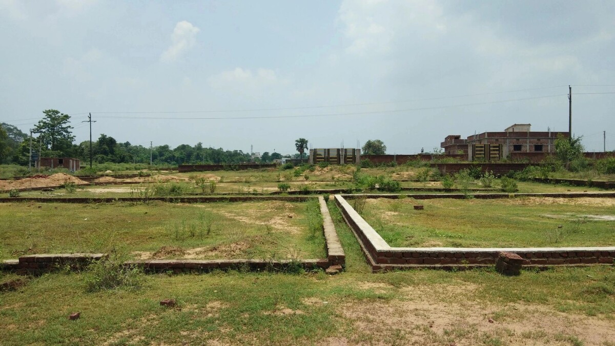    Фото: Roshan Das/Shutterstock/Fotodom