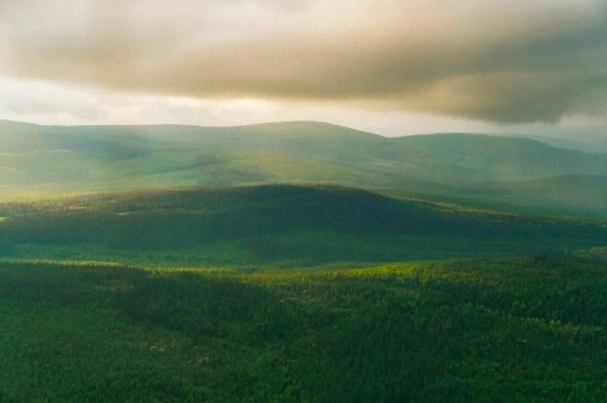    Мурманская область остаётся лидером реализации программы «Гектар Арктики»