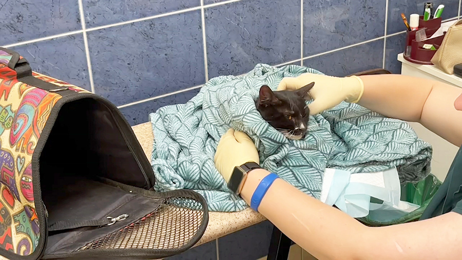    © АО "ТВ Центр"