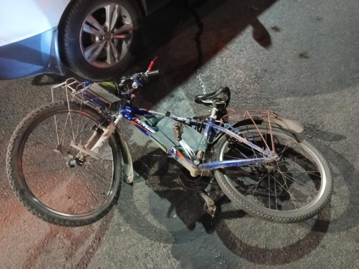    Фото: Госавтоинспекция Петрозаводска / ВК