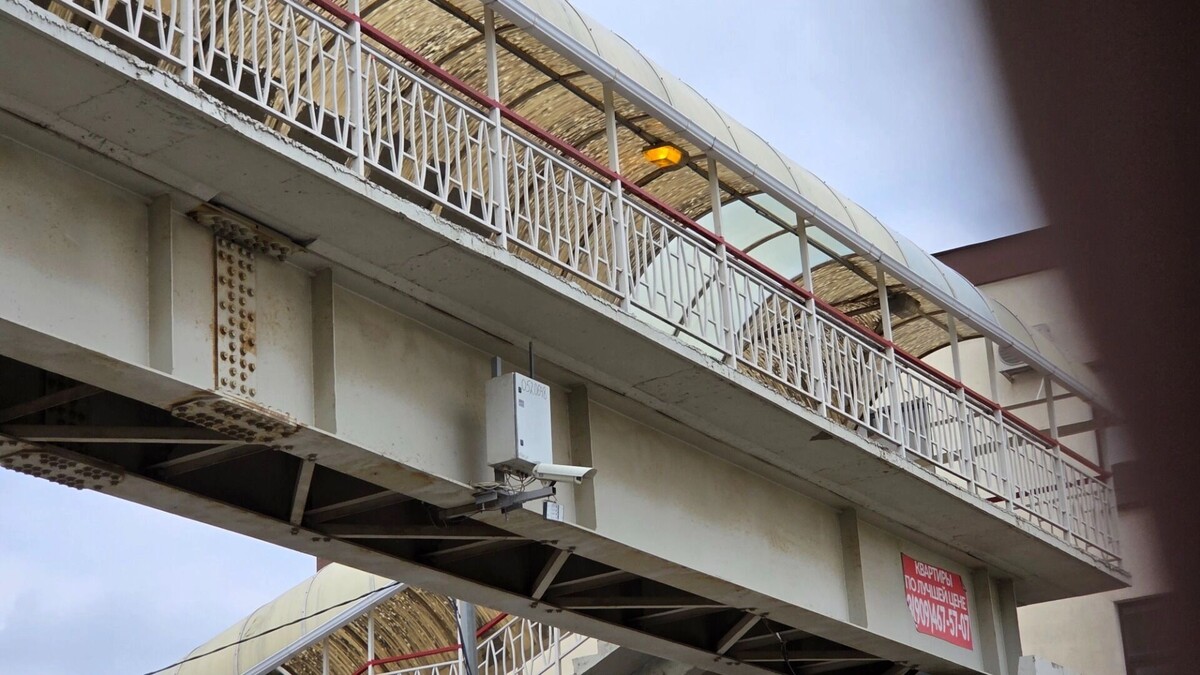     Автор: KubanPress Источник: kubanpress.ru