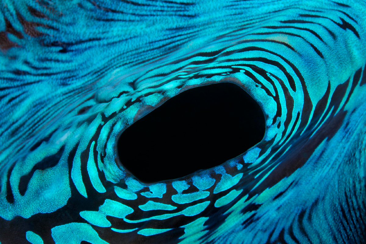 Фото: © Norbert Probst/ http://imagebroker.com/#/search// Global Look Press