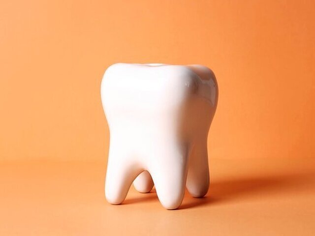    Фото: 123RF/windnight