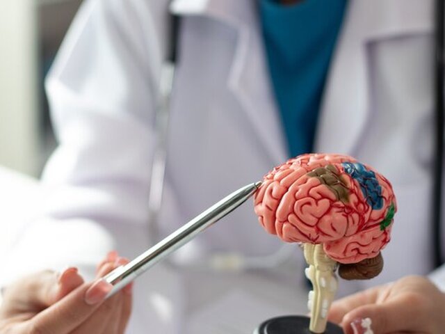    Фото: 123RF/saisupawka