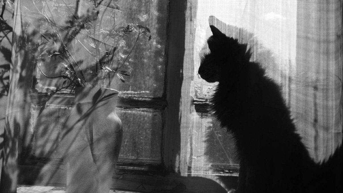 фото Надежды Павлючковой-Кочневой