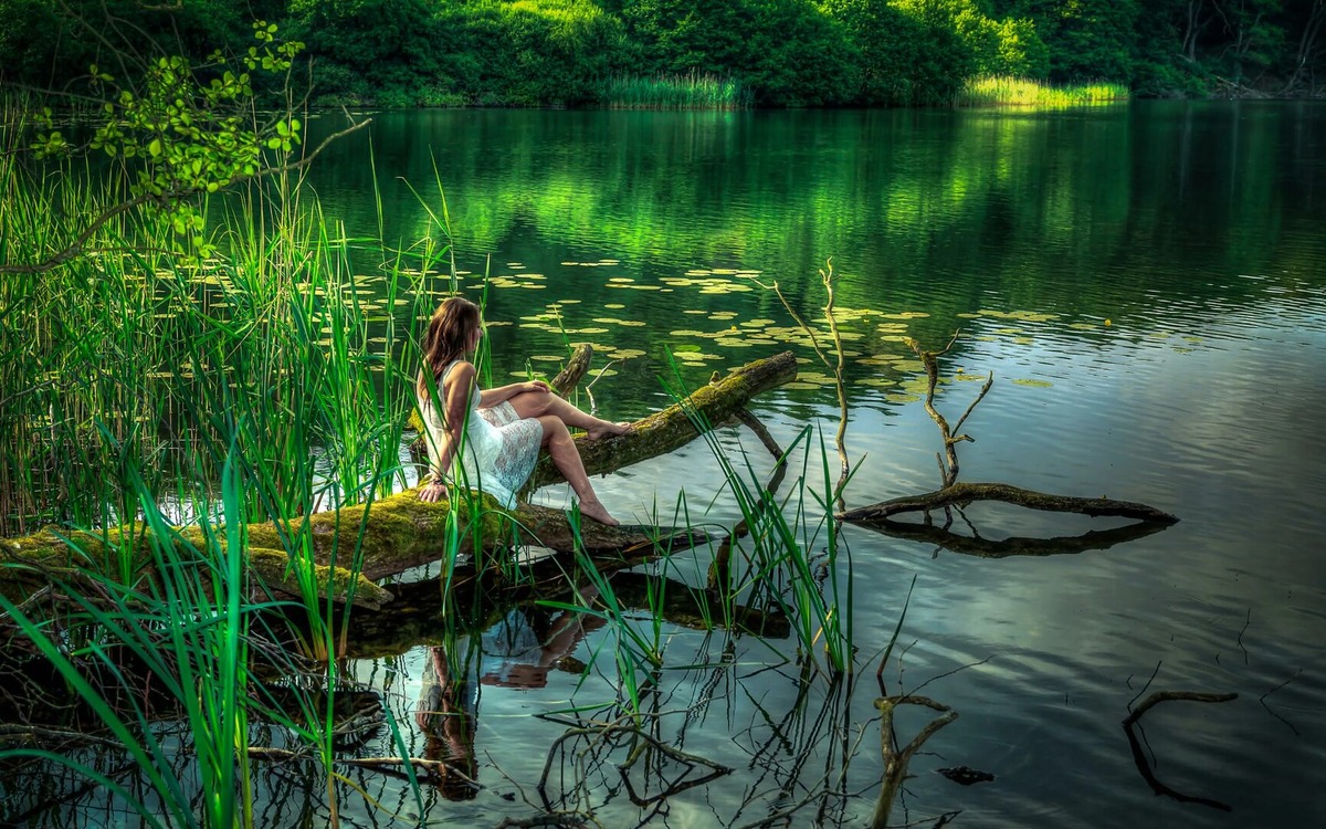 Фото из интернета в свободном доступе 