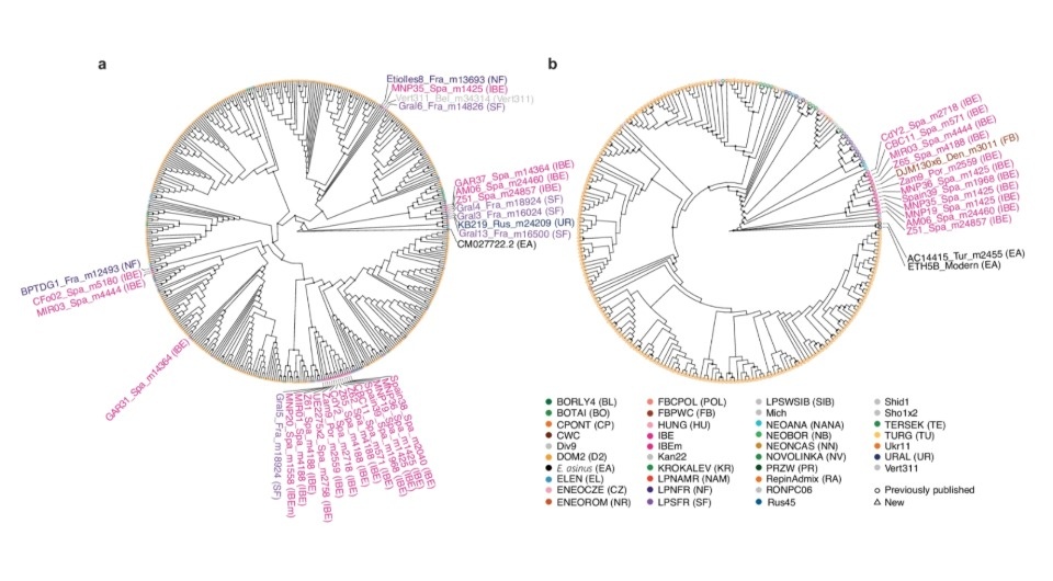   Jaime Lira Garrido et al. / Nature Communications, 2025