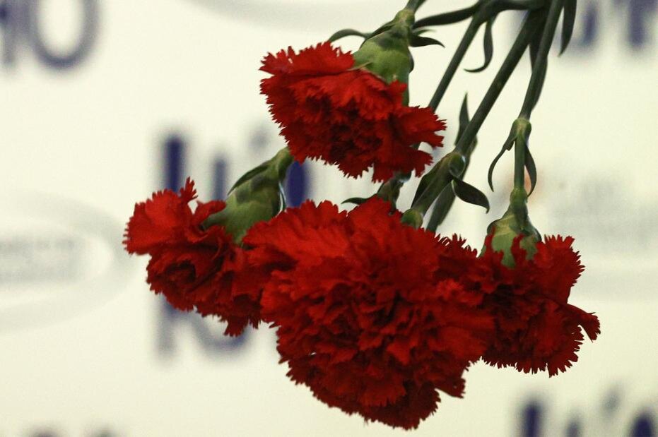    Сергей Булкин/NEWS.ru