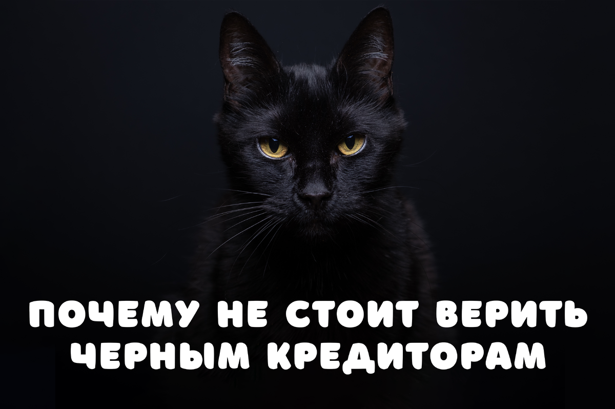 Фото: Shutterstock / Belmin Bedak