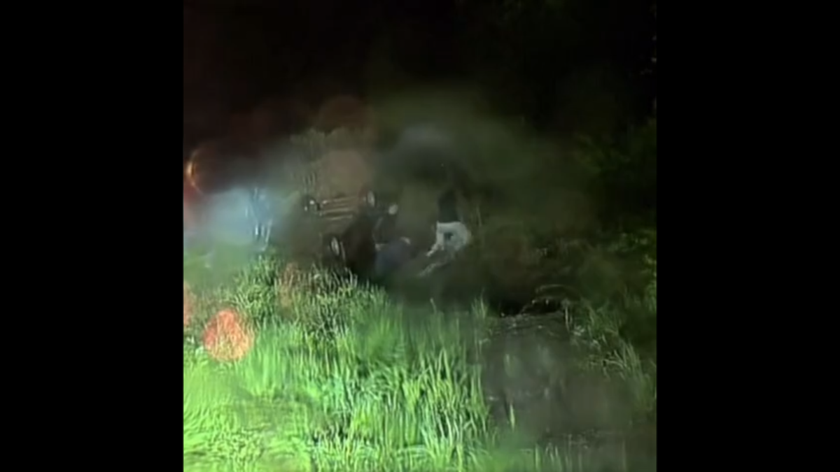 Автор фото: скриншот видео