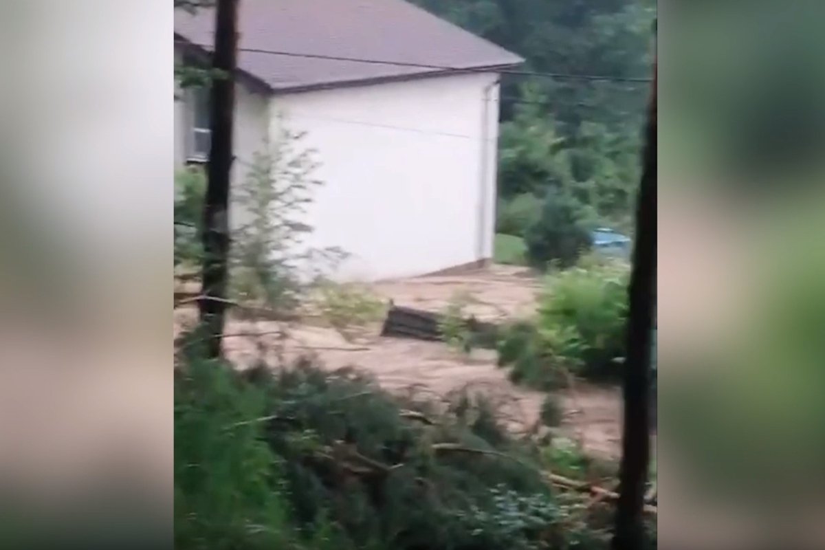     / Источник: © Соцсети. Кадр из видео