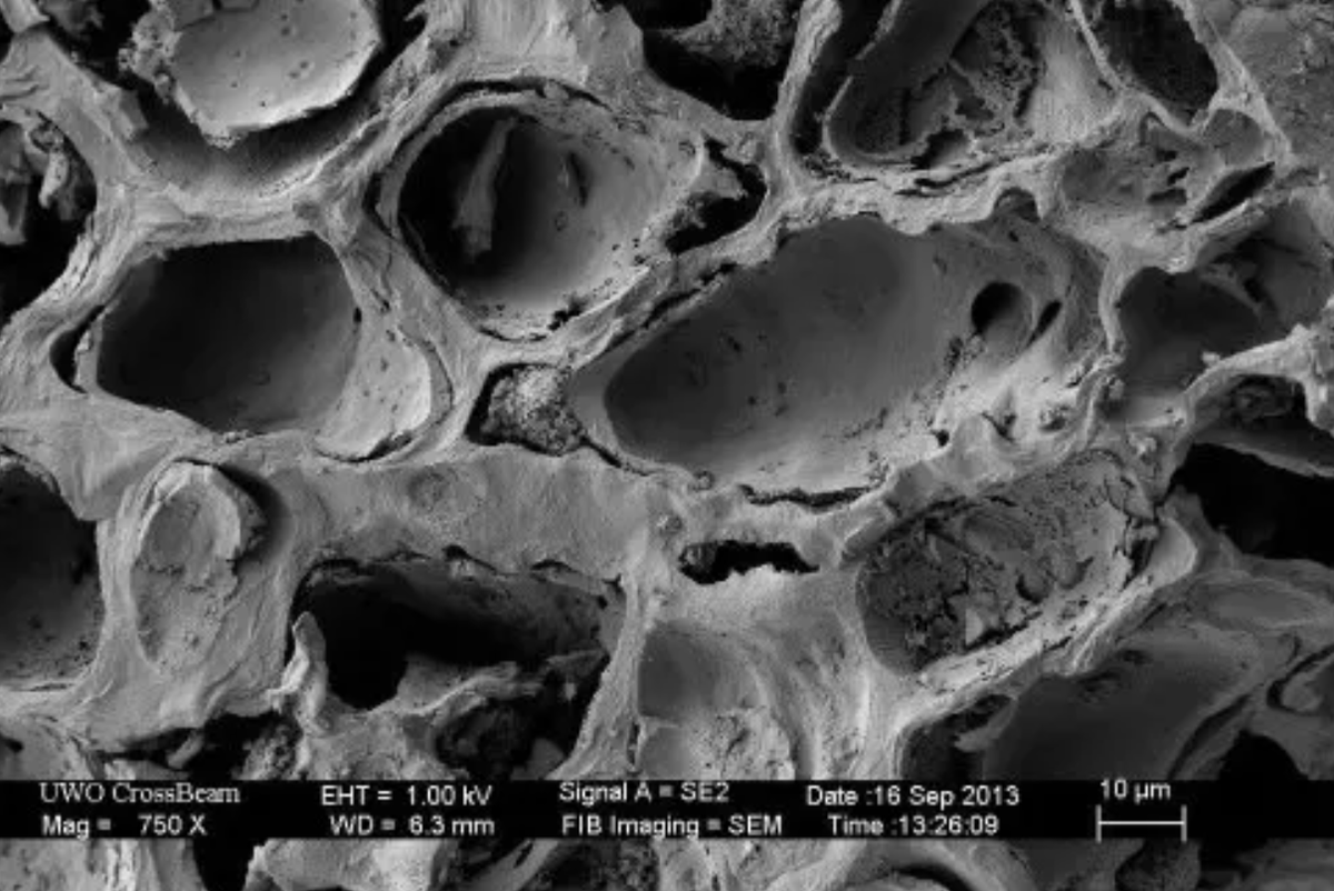 Кофейная гуща