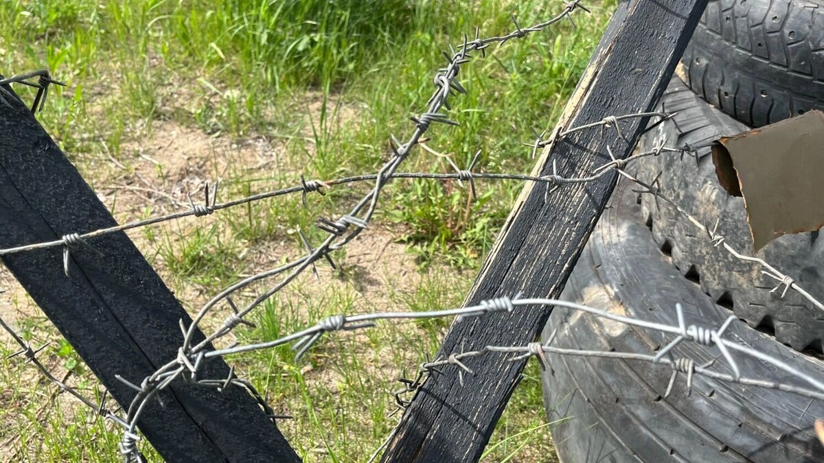     Источник: bel.ru