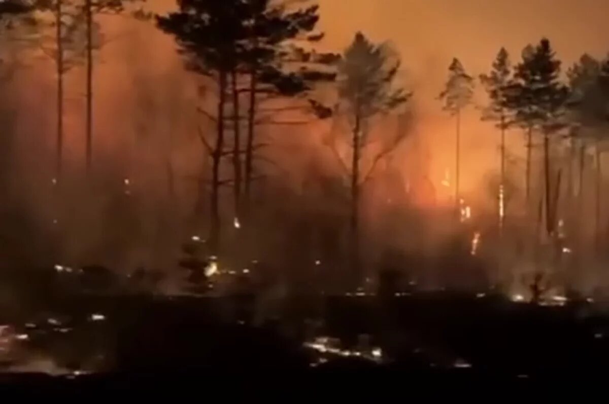    Высокая пожарная опасность сохраняется во Владимирской области