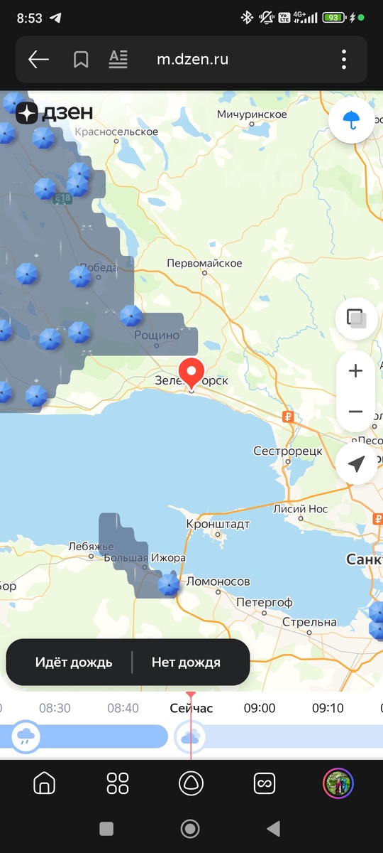 Дождя нет, если верить яндексу