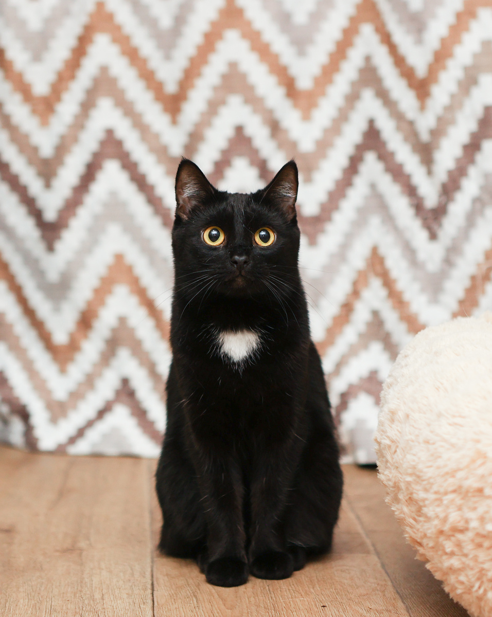 Ни убавить, ни добавить!