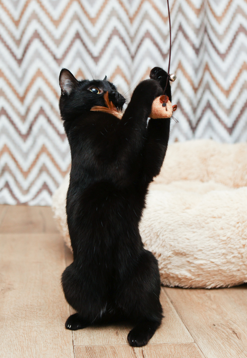 Играть только со мной иногда не забывайте