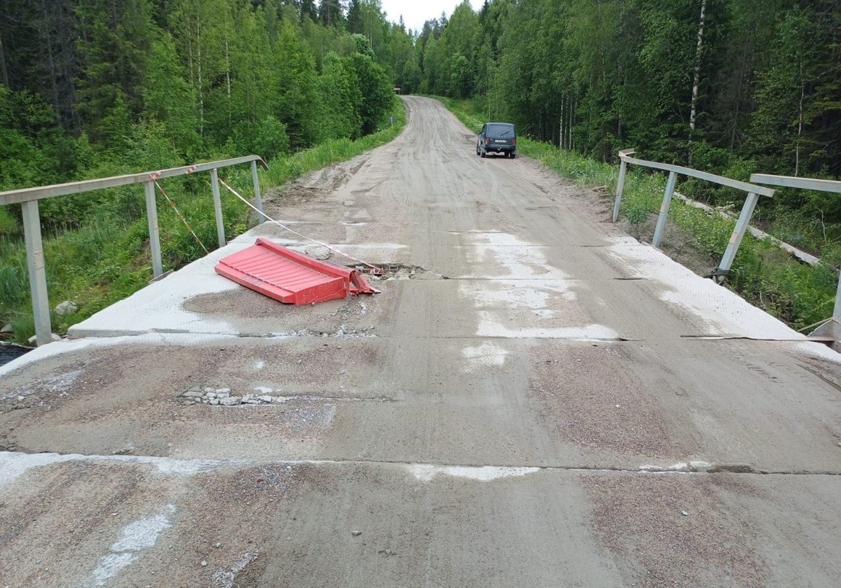    Фото: Роман Петров