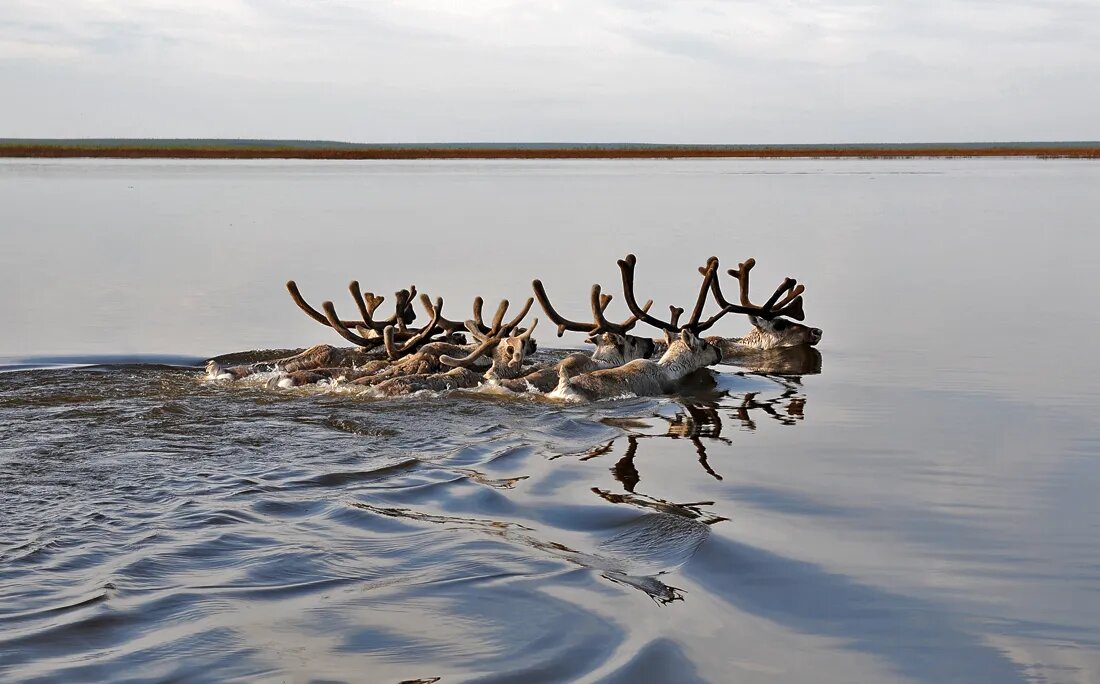    Фото: АО «Востсибнефтегаз"