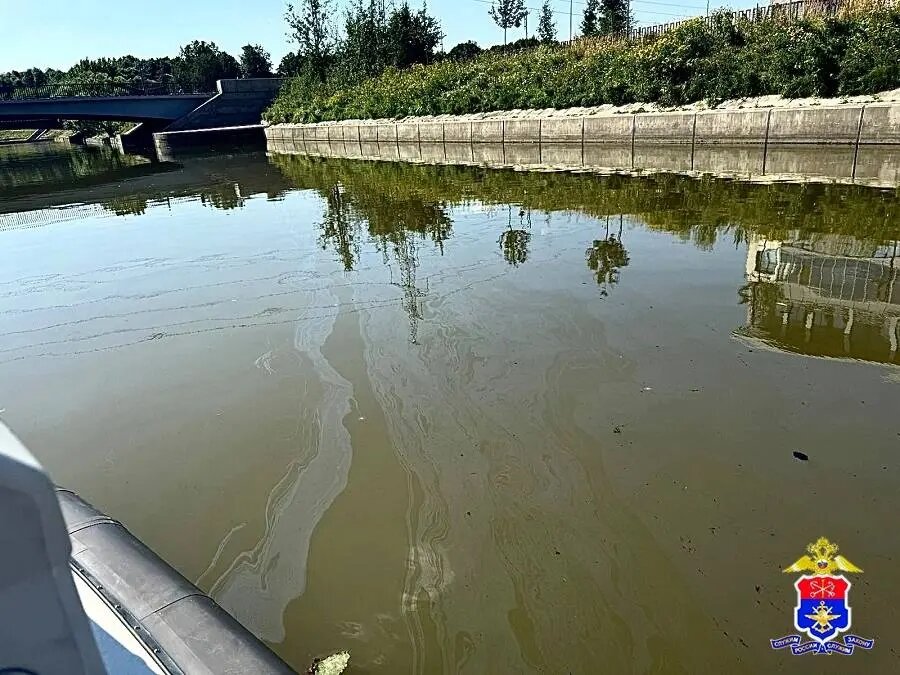    Фото: пресс-служба Управления на транспорте МВД России по СЗФО.