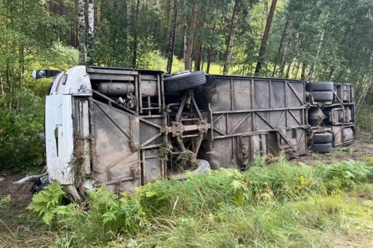    Ехали в Муром.