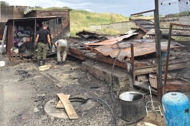    Фото: Telegram/ Догшанс