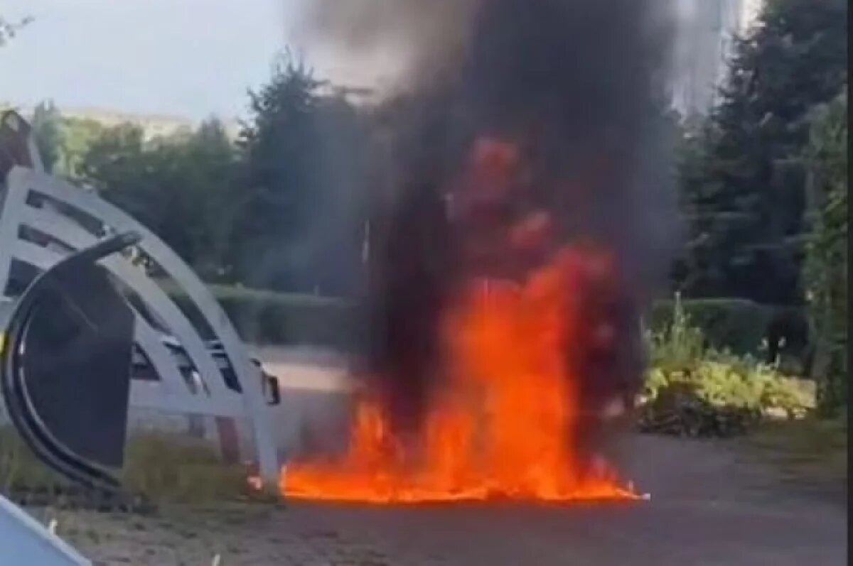    В Новокузнецке наказали подростка, который случайно поджёг аллею