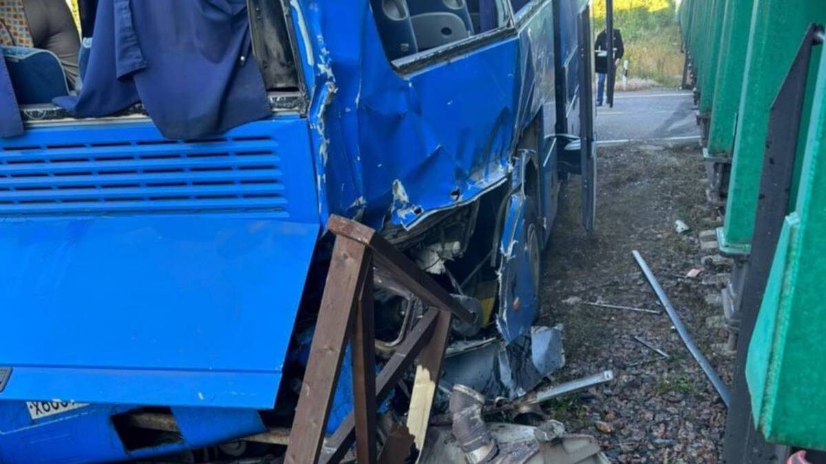    Фото: Петербургская полиция / Telegram