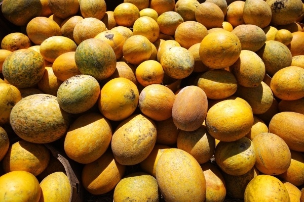 Фото: РИА Новости/Виталий Тимкив