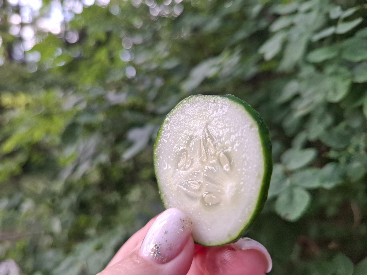 A slice of cucumber