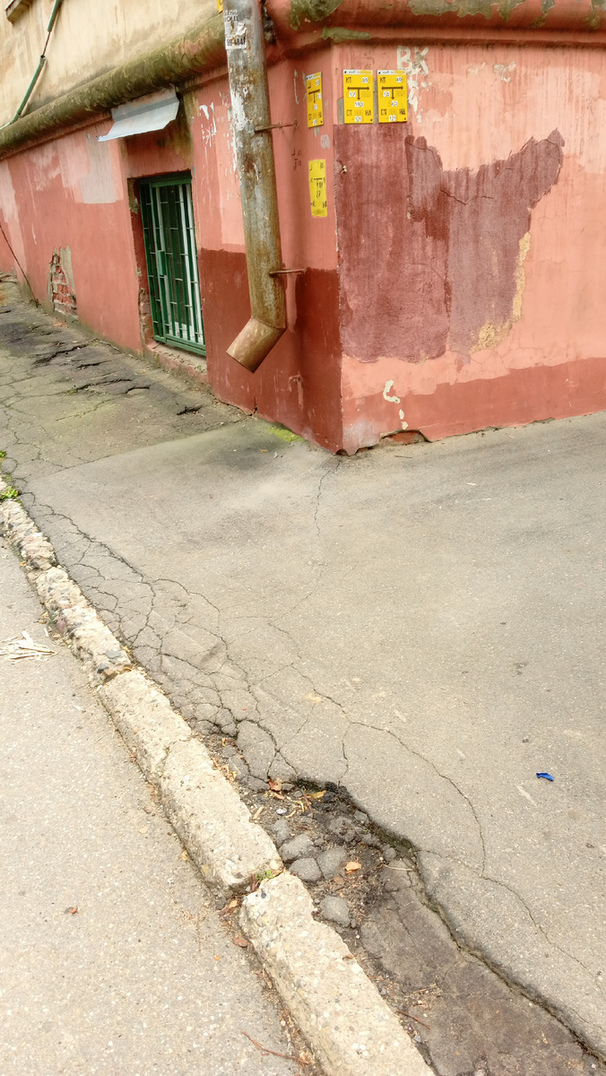 Фото автора.