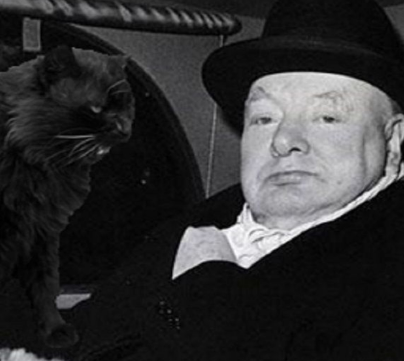 Черчилль и Нелсон