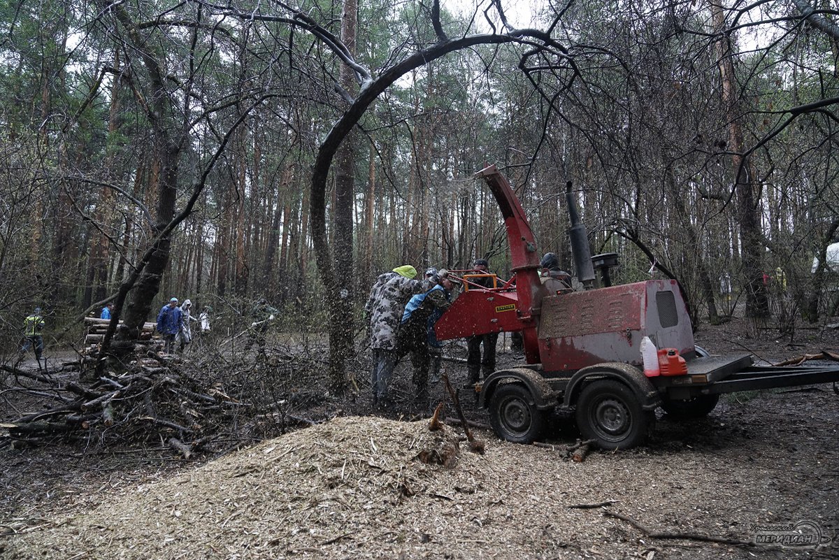    Фото: Лидия Аникина © ИА «Уральский меридиан»