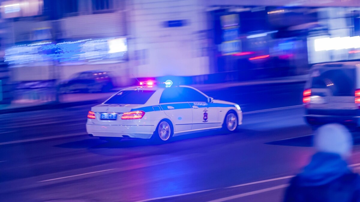    Фото: klevo/Shutterstock/Fotodom