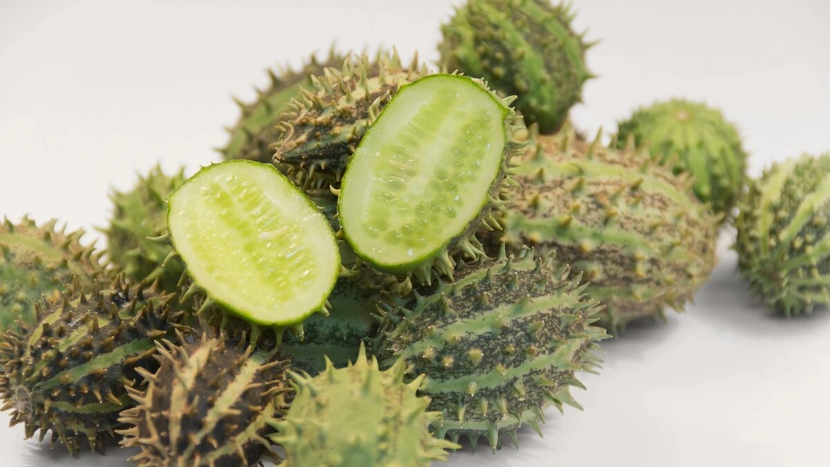    Фото: PRILL/Shutterstock/Fotodom