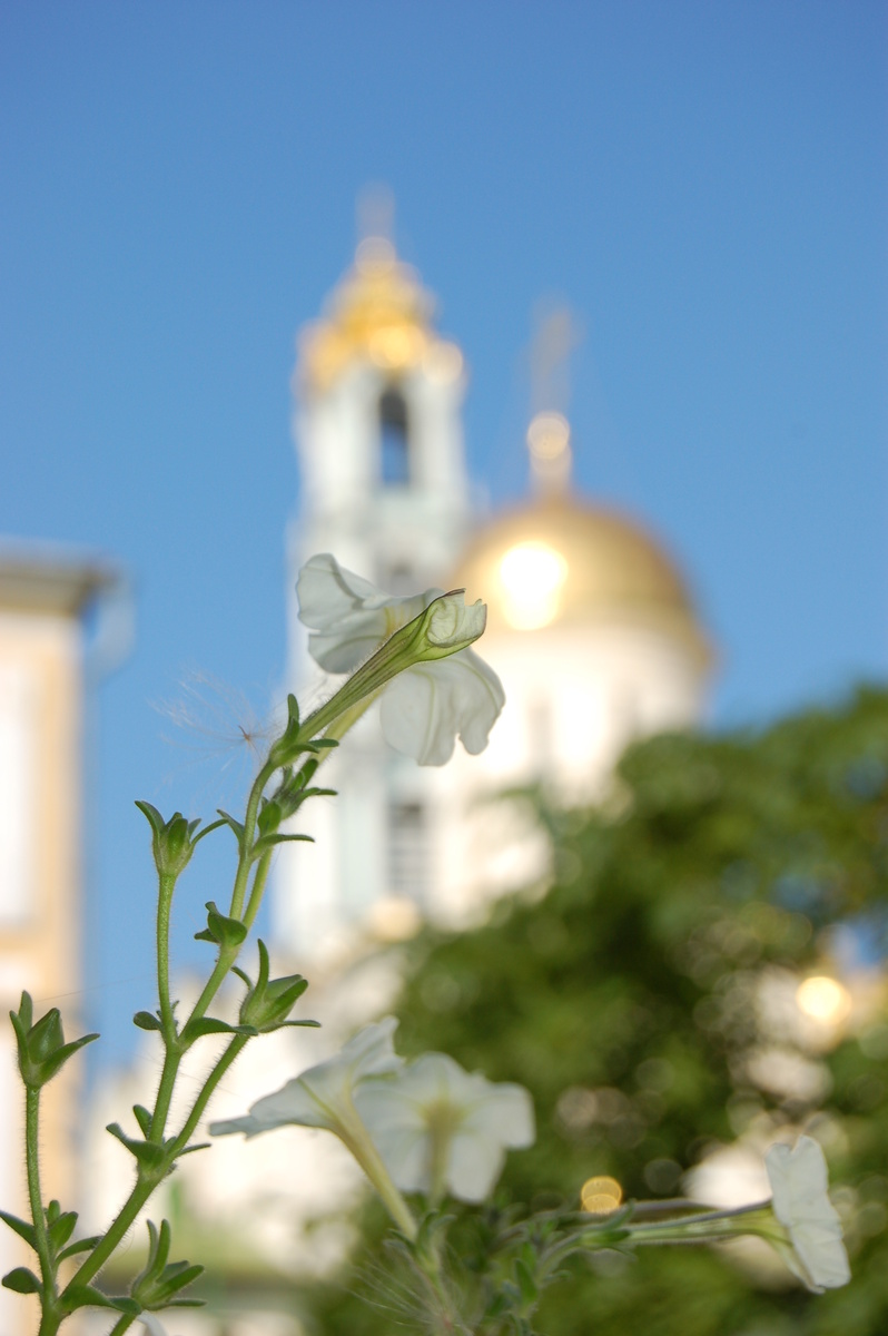 Троице-Сергиева лавра.