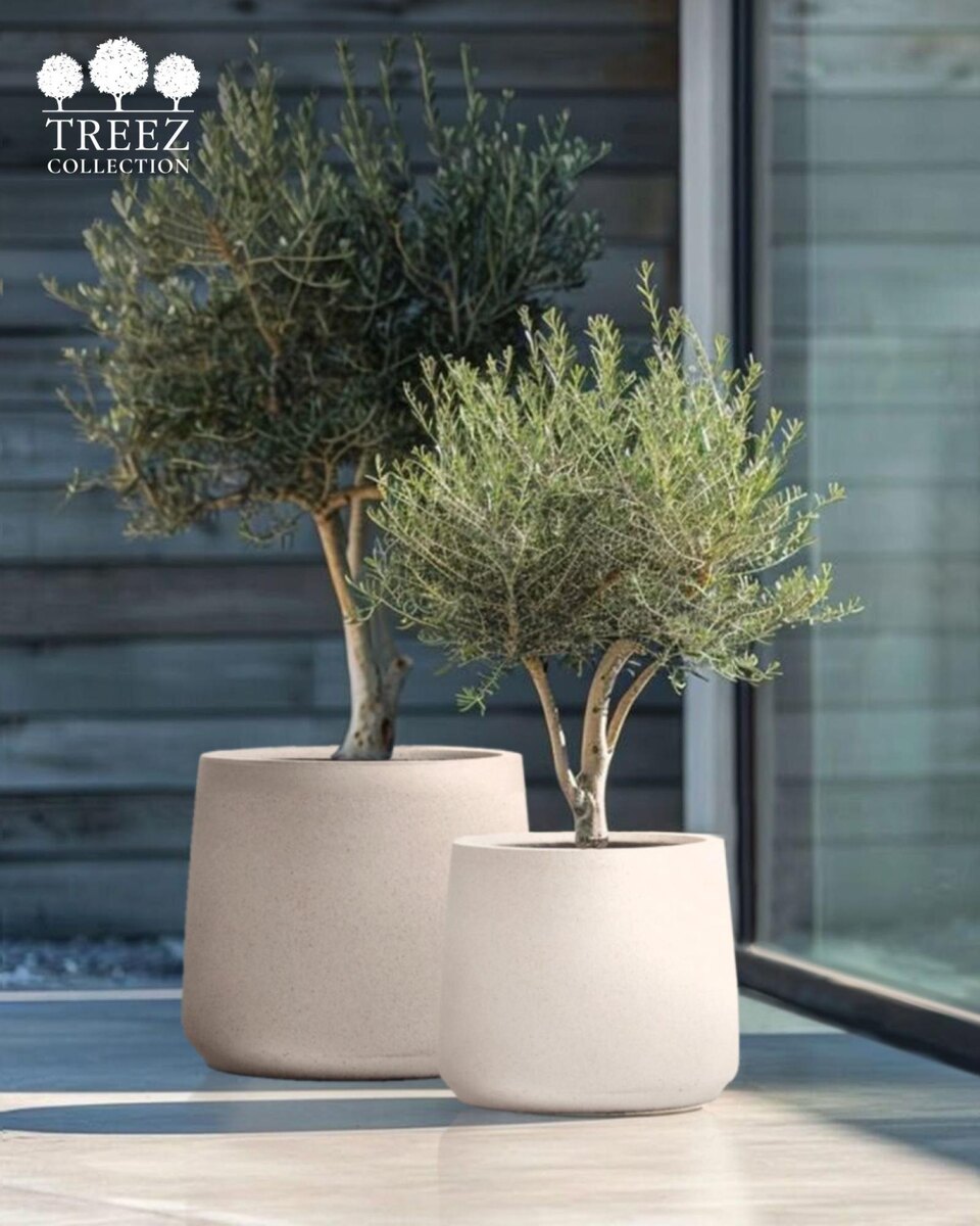 Кашпо TREEZ Collection