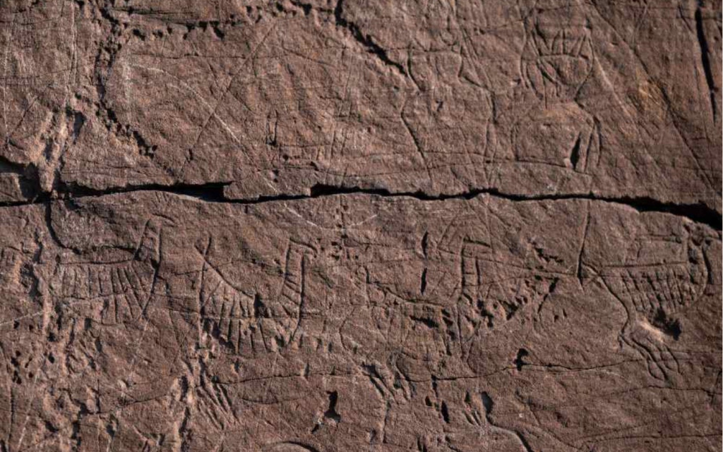    Фото: пресс-служба РАН.