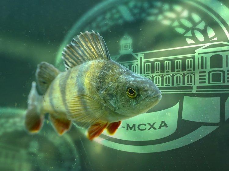    Фото: РГАУ-МСХА имени К.А.Тимирязева