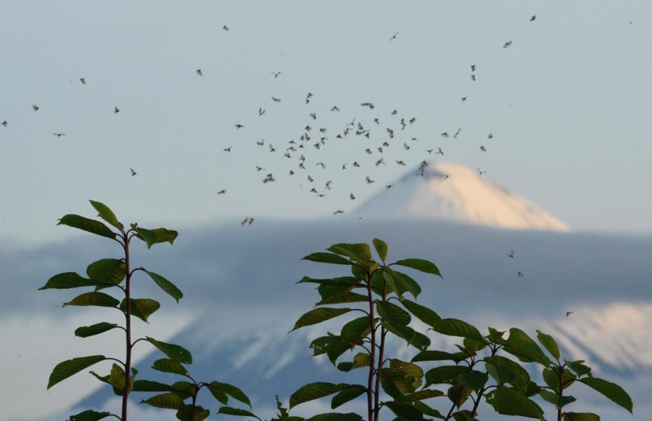    Алексей Куденко/РИА Новости