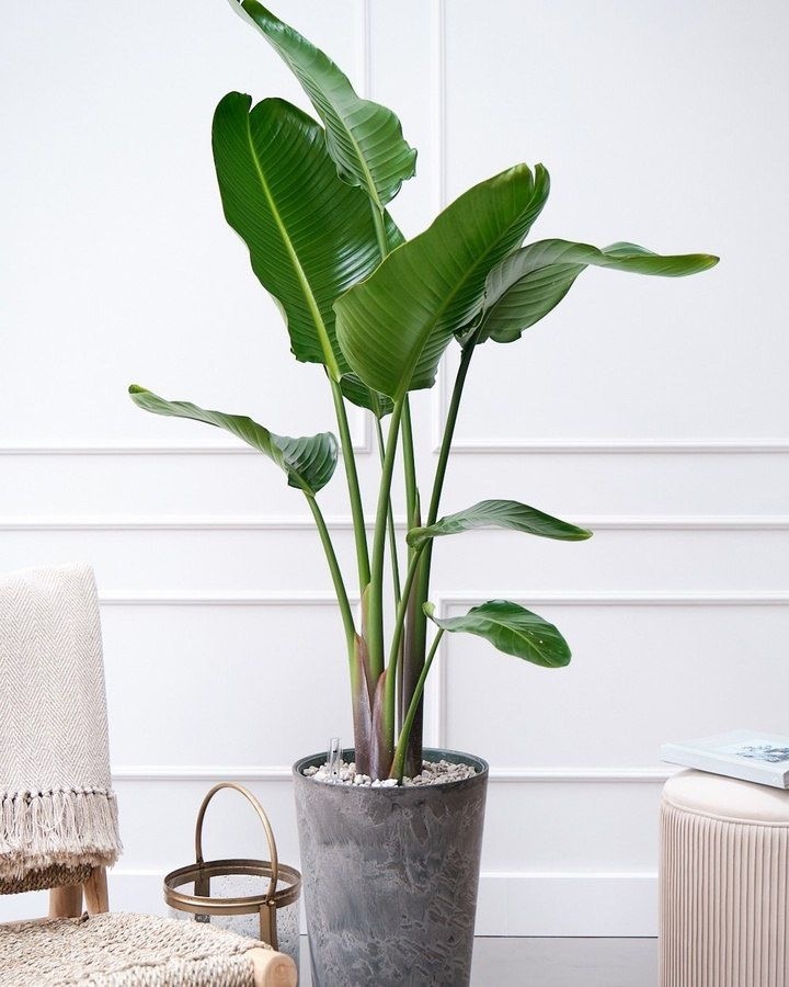 Фото с Пинтерест