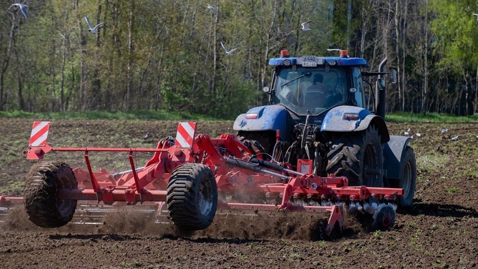    Автор фото: Ермохин Сергей/"ДП"