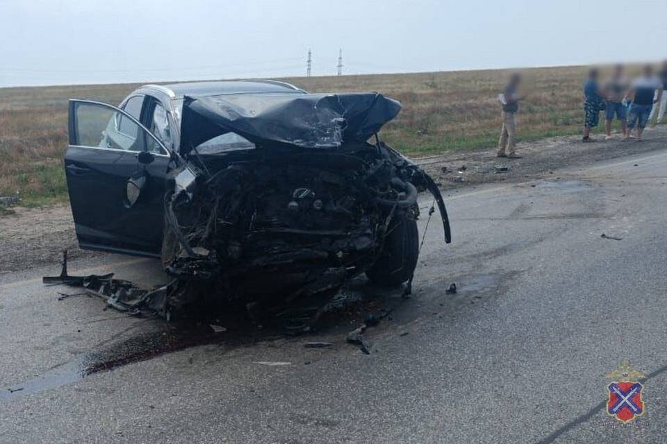    Фото: ГУ МВД России по Волгоградской области