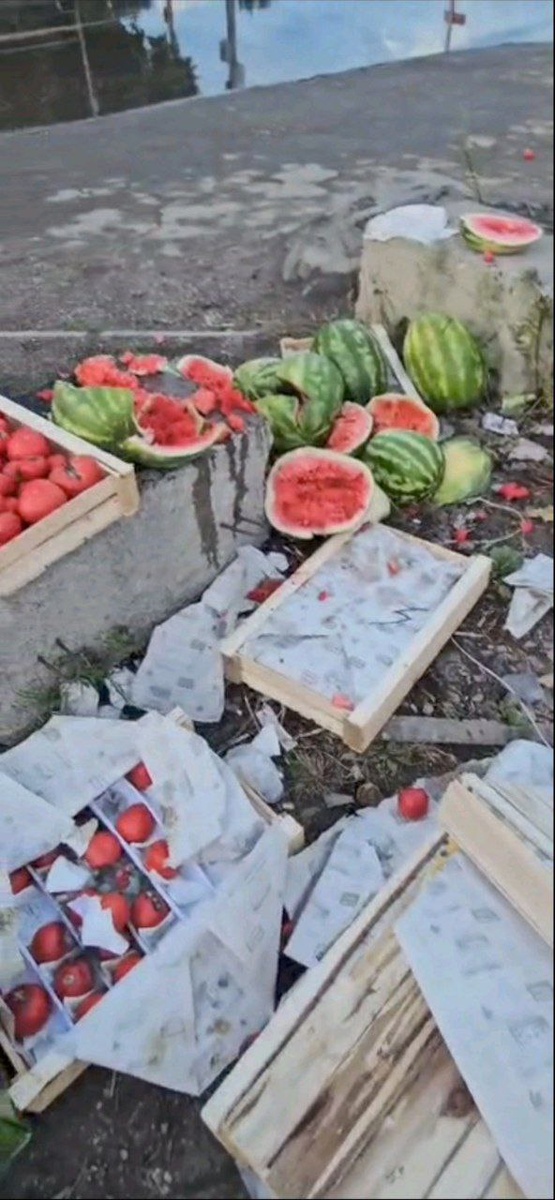 Автор: В. Панченко