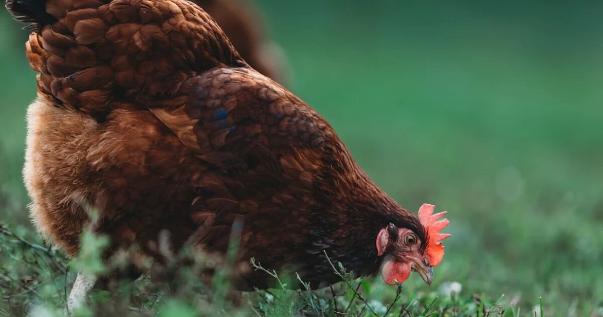 Фото: Steven Van Elk / Unsplash